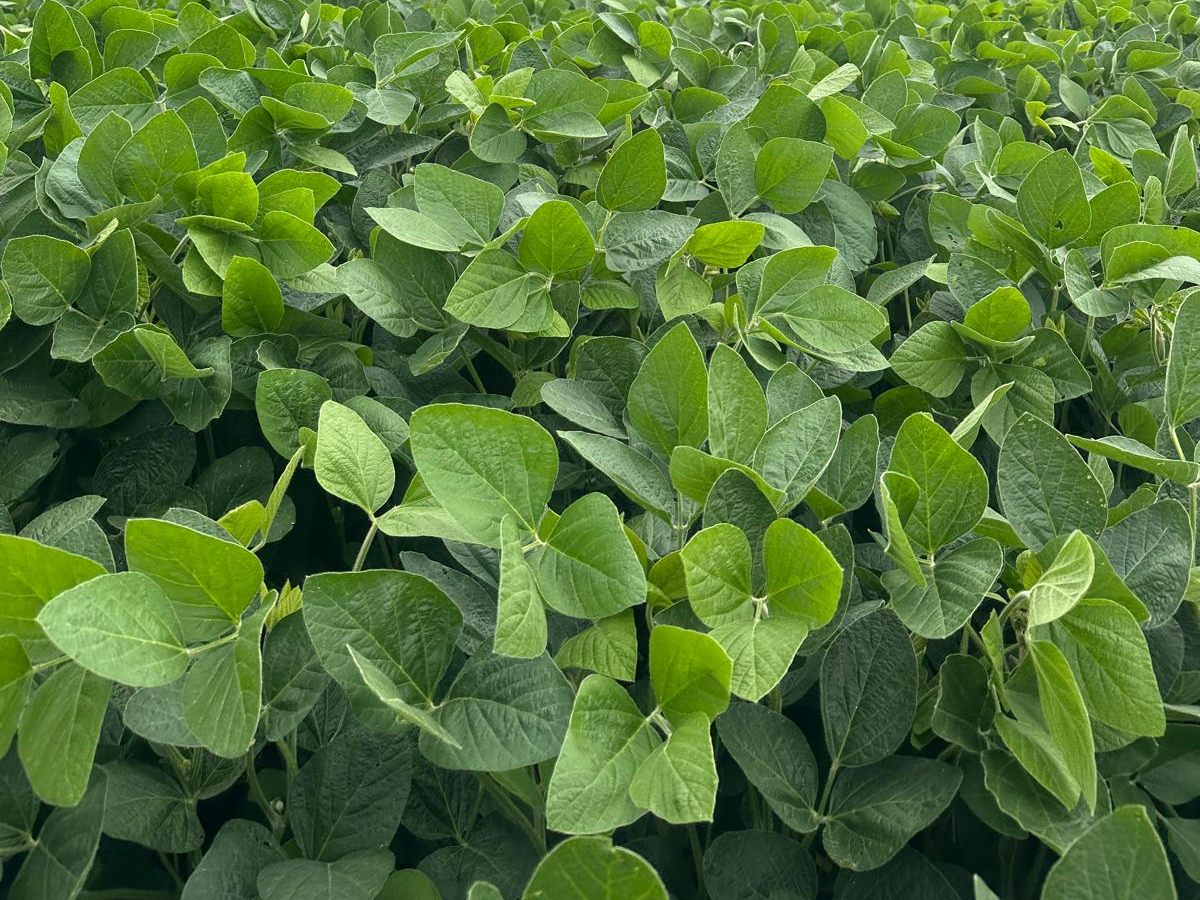 Nuestro equipo de trabajo